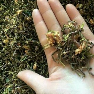 Trà sơn Mật Hồng sâm( sa pa 1kg/60k)
