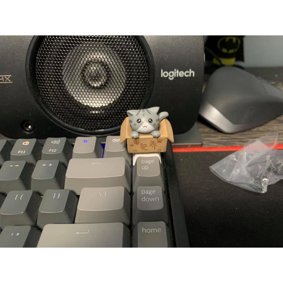Phím Máy Tính Keycap Mèo Lẻ Trong Hộp Siêu Cute | BigBuy360 - bigbuy360.vn