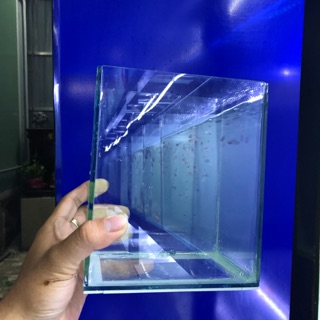 Hồ kính mini , hồ betta , keo betta , hồ show
