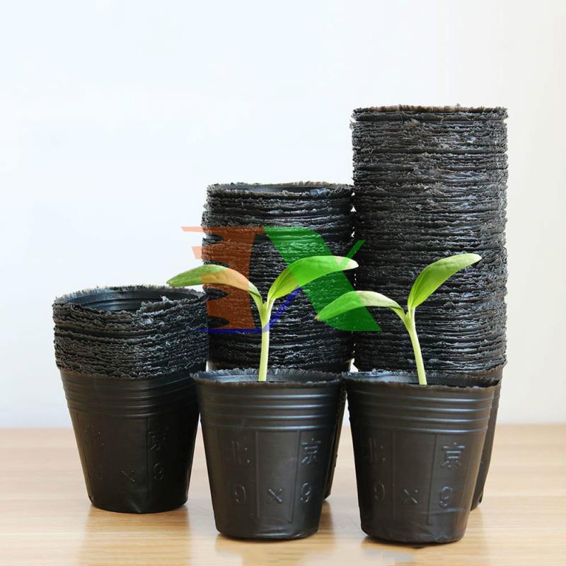 Combo 2000 cái Bầu nhựa ươm cây BHS, Bầu Hoa Sen (23*18cm)