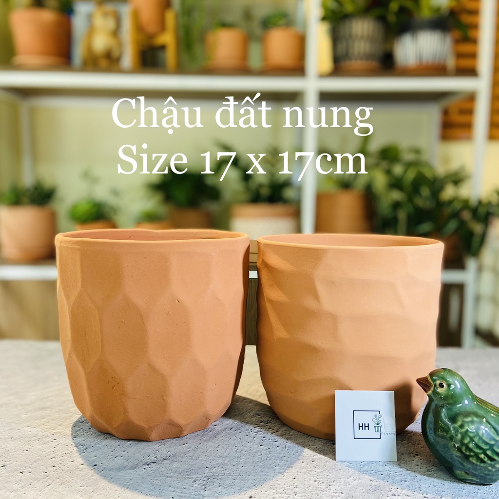 Chậu đất nung nhiều hoạ tiết, Size 17x17cm chậu trồng cây