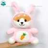 (30cm) Gấu bông chó Shiba lè lưỡi, lêu xì coslay