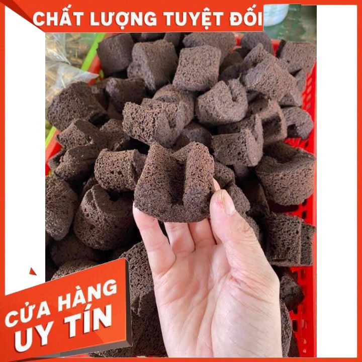 Đồ làm vườn, chiết cây Mút ươm kie Hà Lan size đại