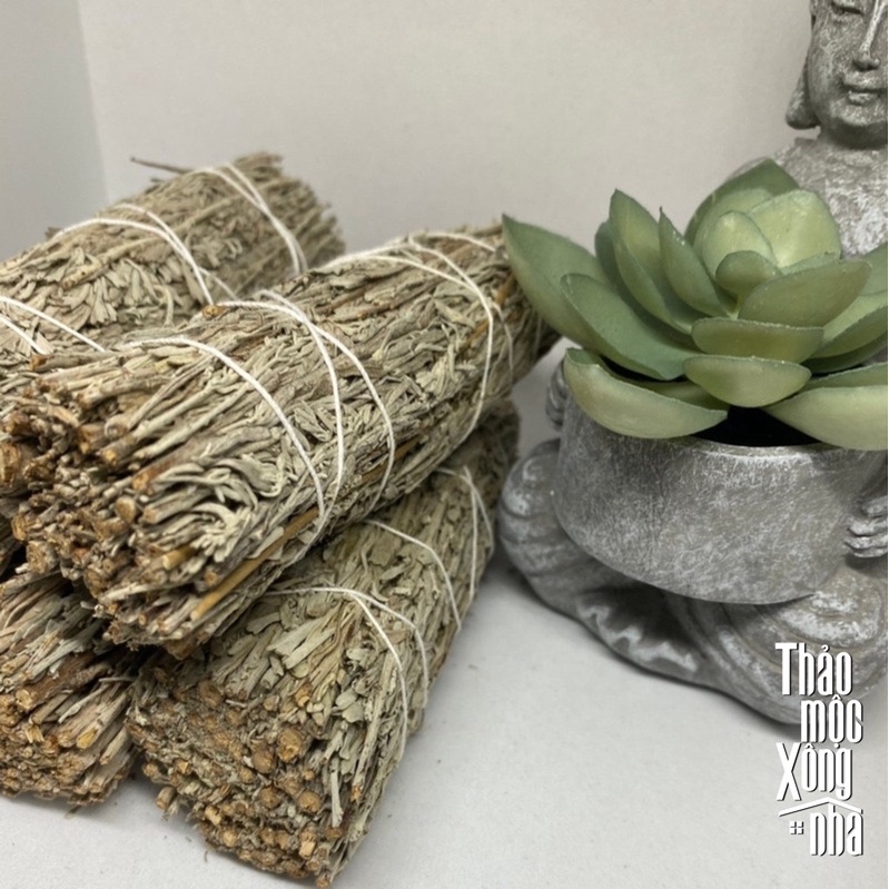 XÔ TINH THẦN (Mountain Sage) Thanh tẩy bản thân, nâng cao tinh thần, thông thái - THẢO MỘC XÔNG NHÀ