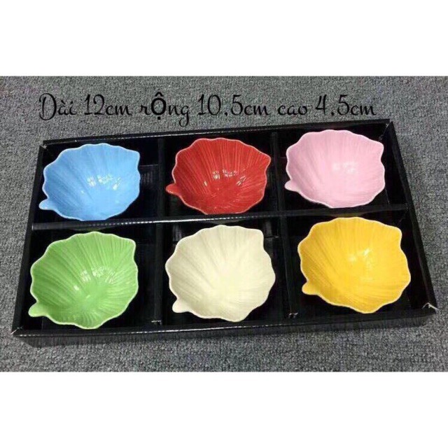 Set 6 đĩa sứ kèm khay nhựa