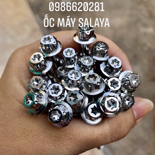 Bộ ốc máy SALAYA 21con