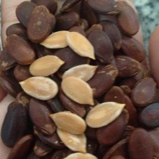 Hạt dưa rang tay ko nhuộm phẩm màu