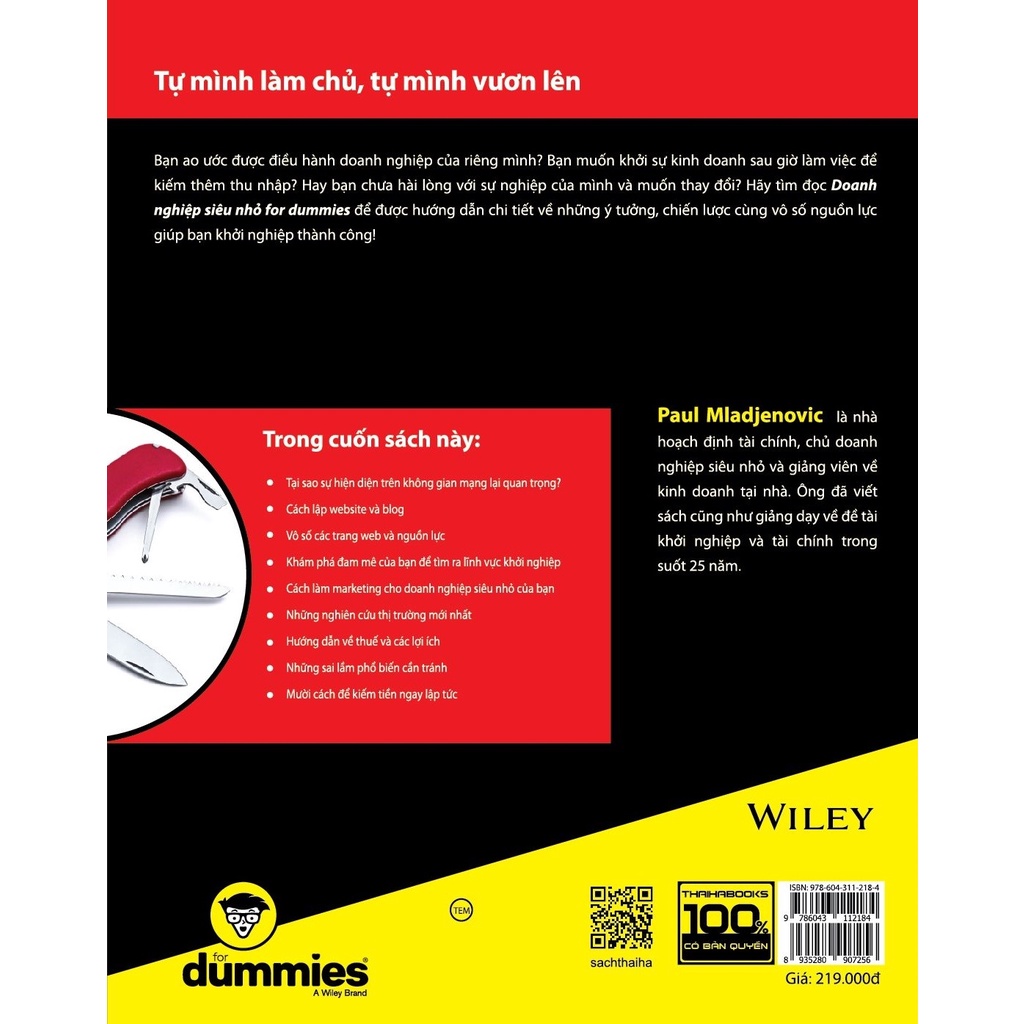 Sách - Doanh Nghiệp Siêu Nhỏ For Dummies