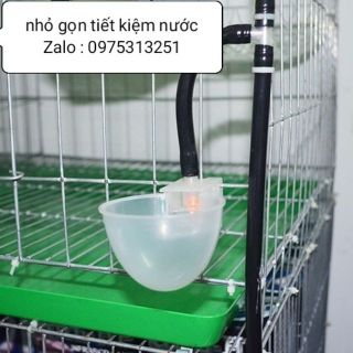 Máng uống tự động chim gà