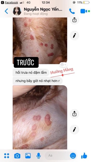 Thuốc bôi trị nấm ghẻ cho chó mèo cảnh