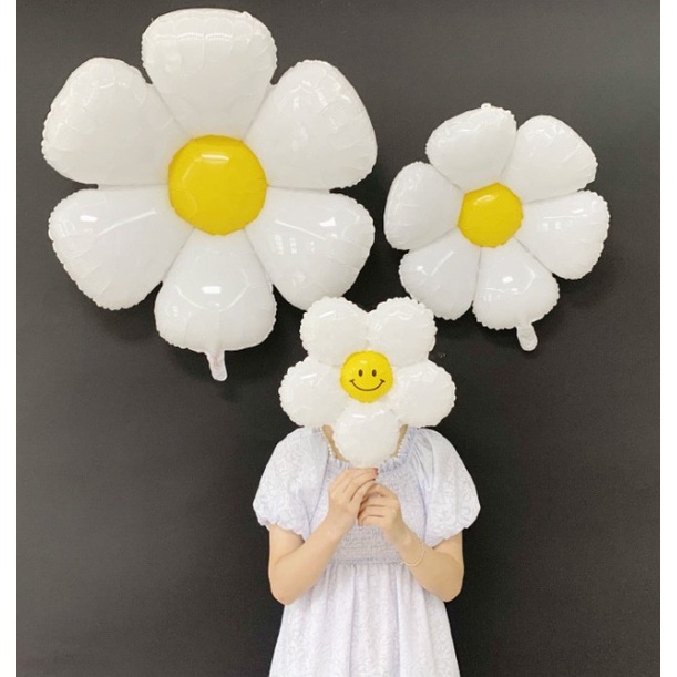 Bóng hình hoa cúc trang trí tiệc sinh nhật, chụp hình kỷ niệm kiểu hàn quốc