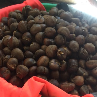5kg hạt dẻ