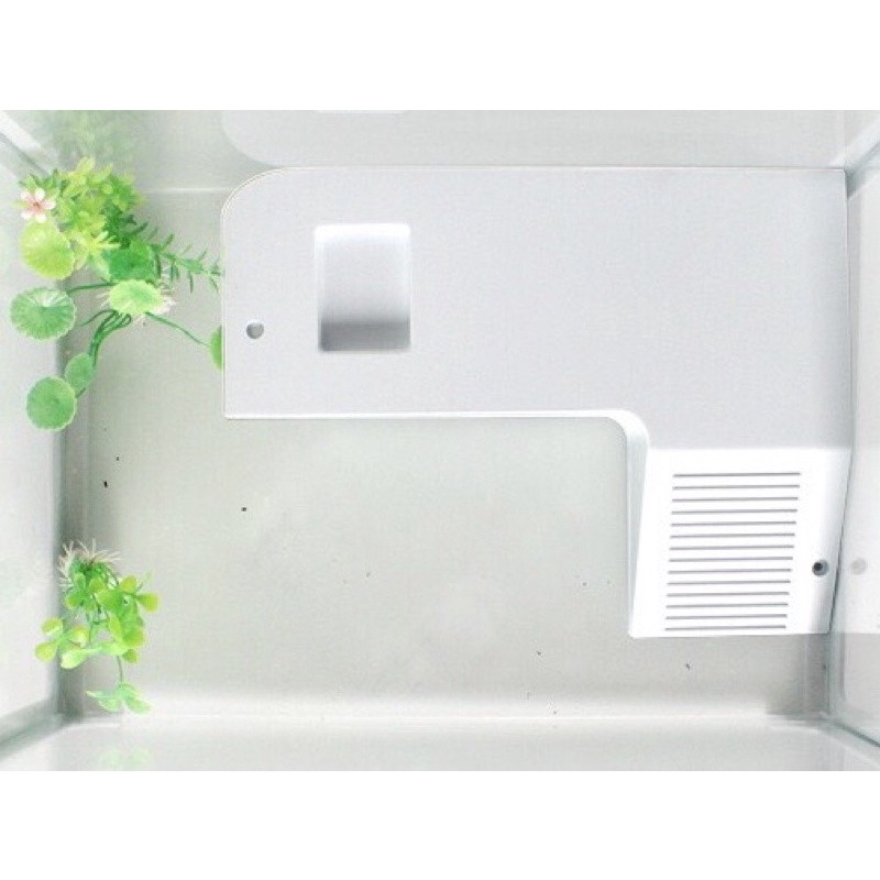 Máng Leo Dành Cho Rùa Nước