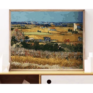 Tranh tô màu theo số TinaSweet 🌈 Cánh đồng Van Gogh 🌈 CHUẨN MÀU - Tranh sơn dầu số hoá