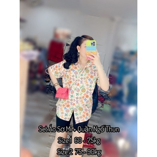Bigsize 60 - 90kg