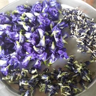 (0,5-1kg) HOA ĐẬU BIẾC KHÔ NGUYÊN BÔNG. Giá tốt nhất.