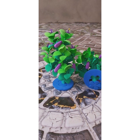 Cây ăn quả mầm non