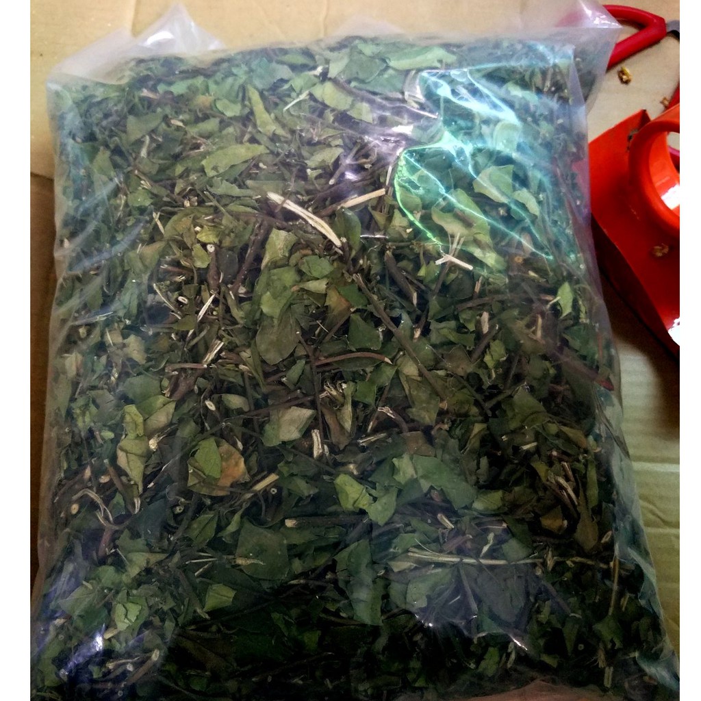 Dây thìa canh - Phòng và hỗ trợ trị tiểu đường