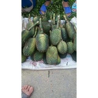 sỉ giá gốc quả dứa rừng dứa dại khô 1kg