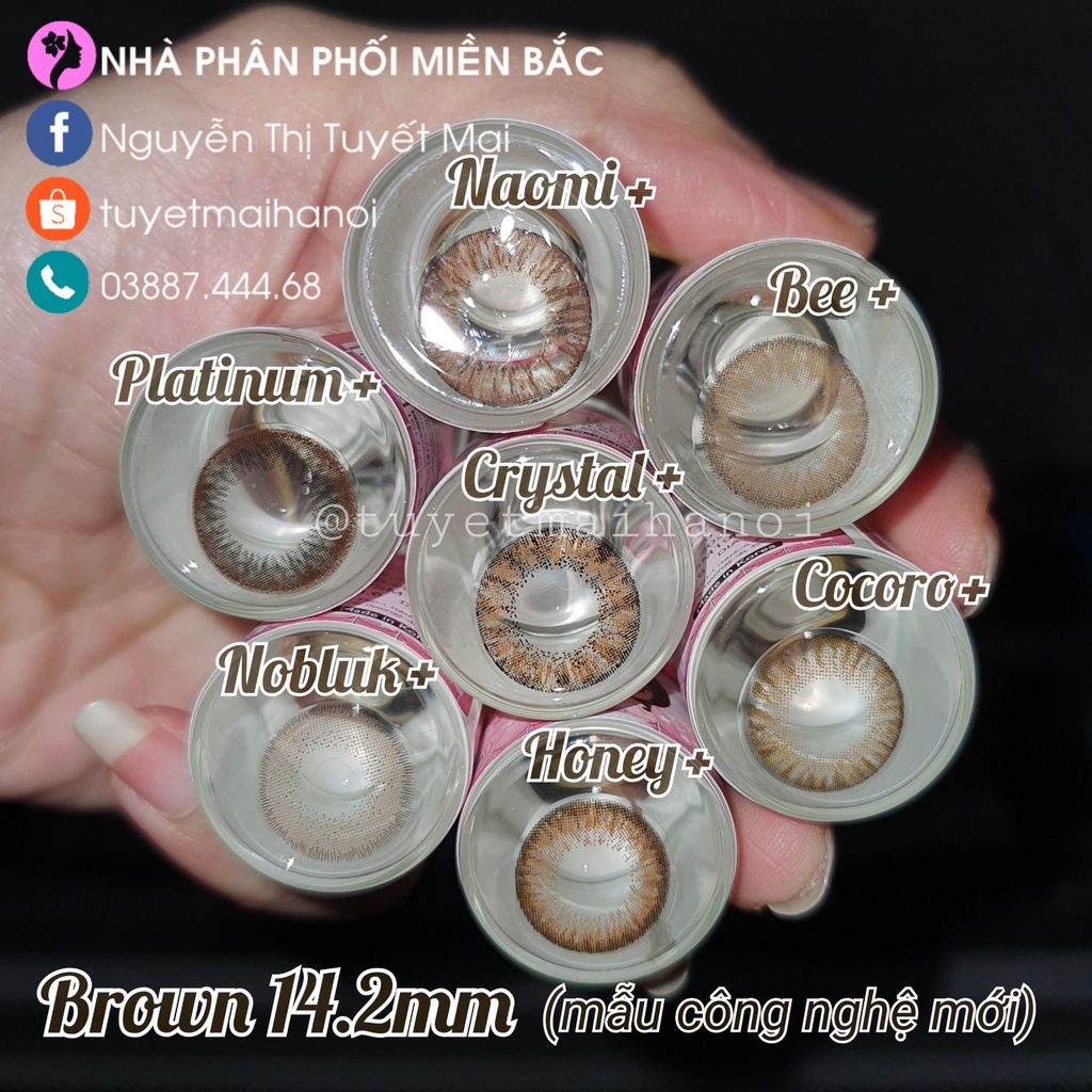 KÍNH ÁP TRÒNG Chính Hãng Vassen Sexy Me Hàn Quốc - Trọn bộ combo lens đầy đủ