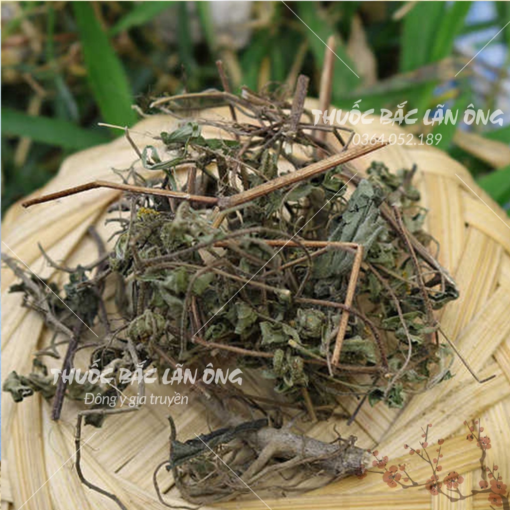 Hy thiêm thảo khô 100g (Hàng khô, sạch, đẹp)