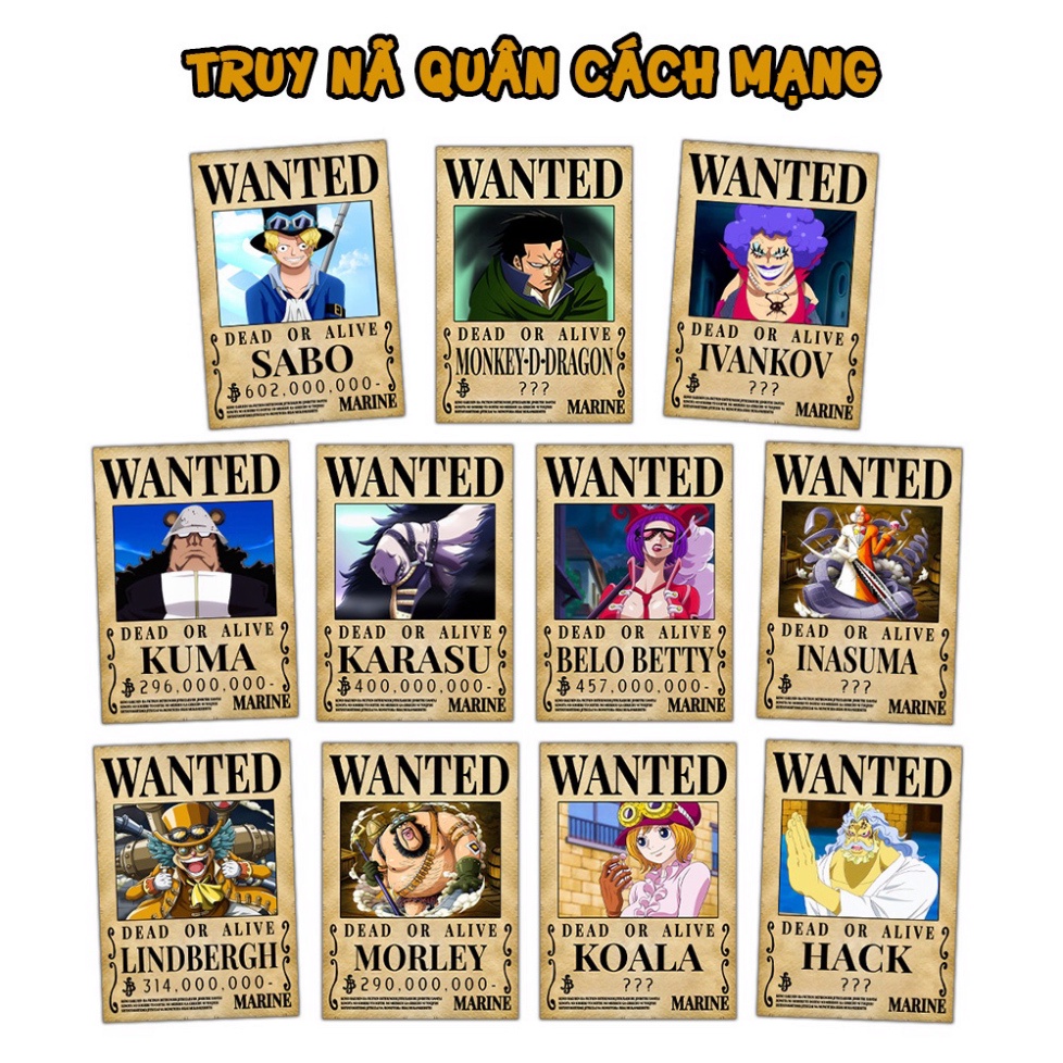 Poster One Piece kích thước A3 42*29 cm - One Piece dán tường TO04