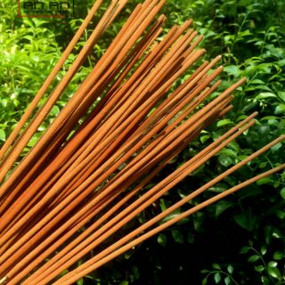 Nhang sạch Thảo Mộc An An 200 nén
