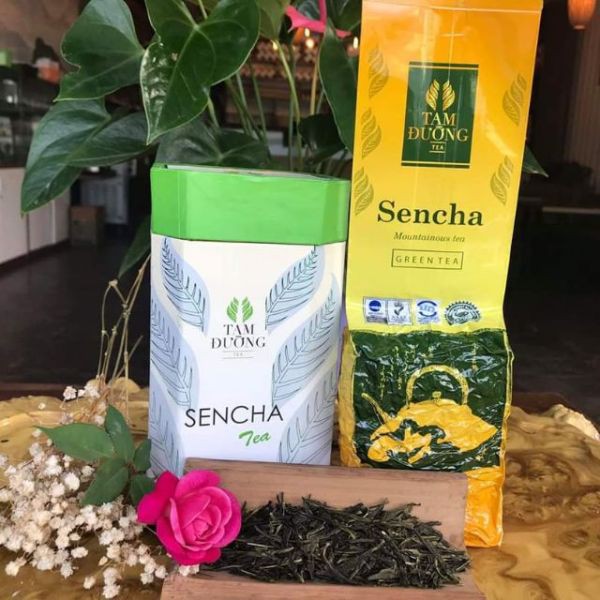 Sencha - Trà Nhật tuyệt phẩm Pha Trà Sữa, Làm Trà Kombucha -> Hương Vị Cỏ dịu nhẹ, màu nước xanh Ngọc Bích!