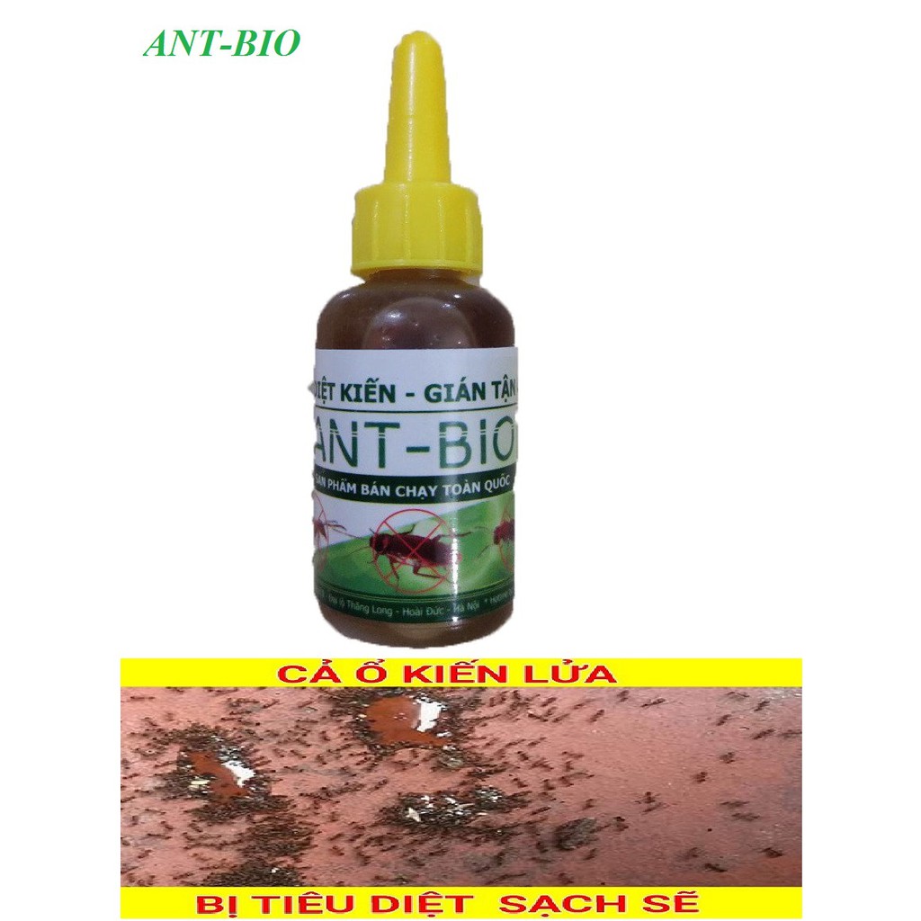 Chế phẩm diệt kiến tận gốc - diệt gián sinh học Ant-Bio lọ 10ml