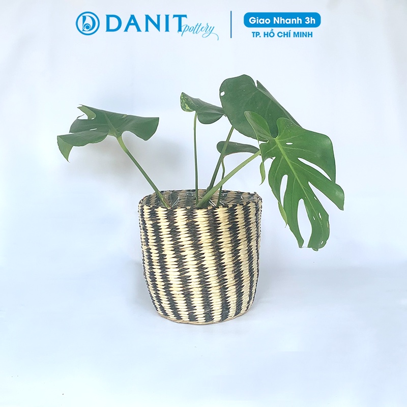 Giỏ cói trồng cây | Giỏ đựng đồ | Giỏ đựng mỹ phẩm  Danit Pottery