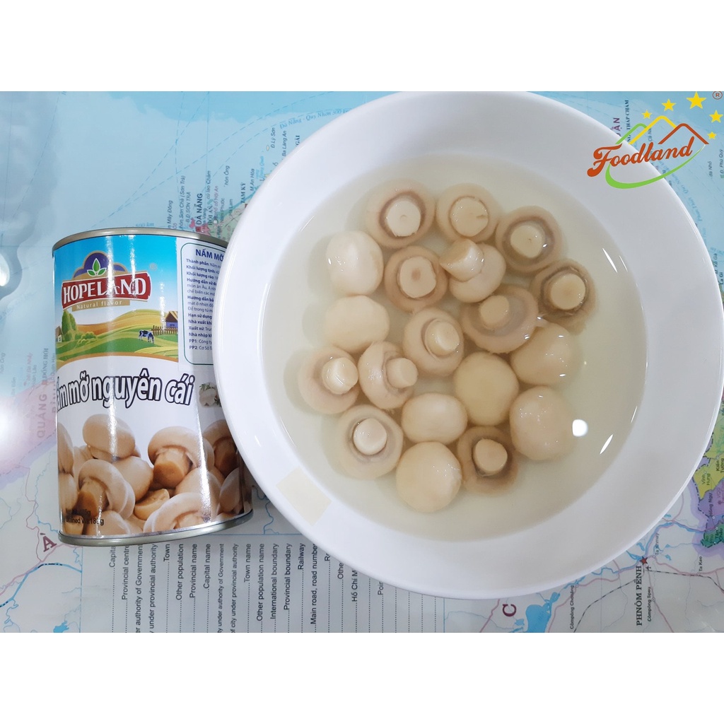 Nấm mỡ nguyên cái hopeland 425g - nấm mỡ dầy mình, xào, kho - foodland - ảnh sản phẩm 4