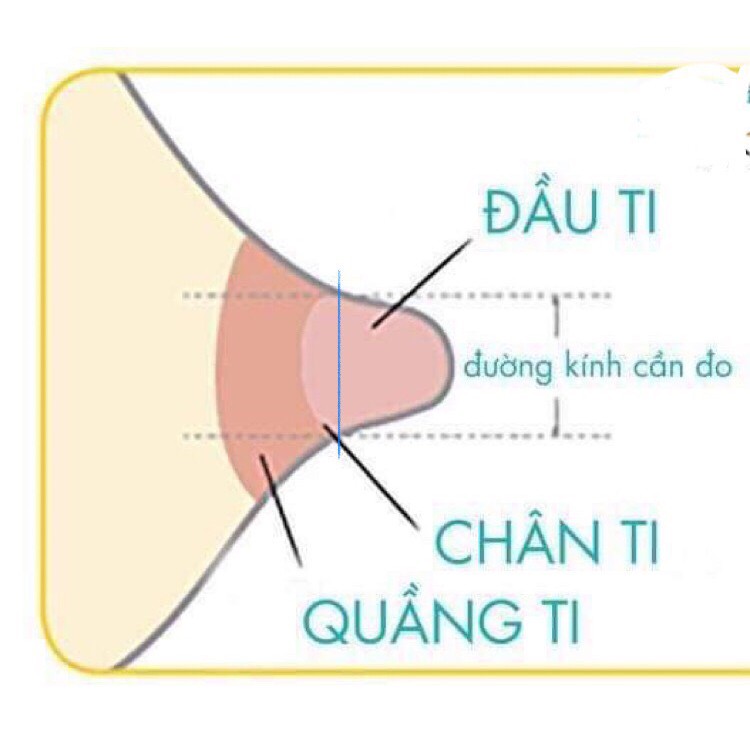 [ Thanh lý] Phễu hút sữa medela size 21mm, 24mm, 27mm