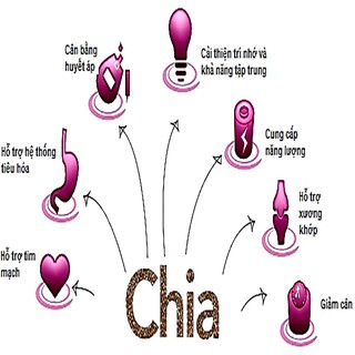 Hạt chia Tím Úc Absolute Organic Gói 250g