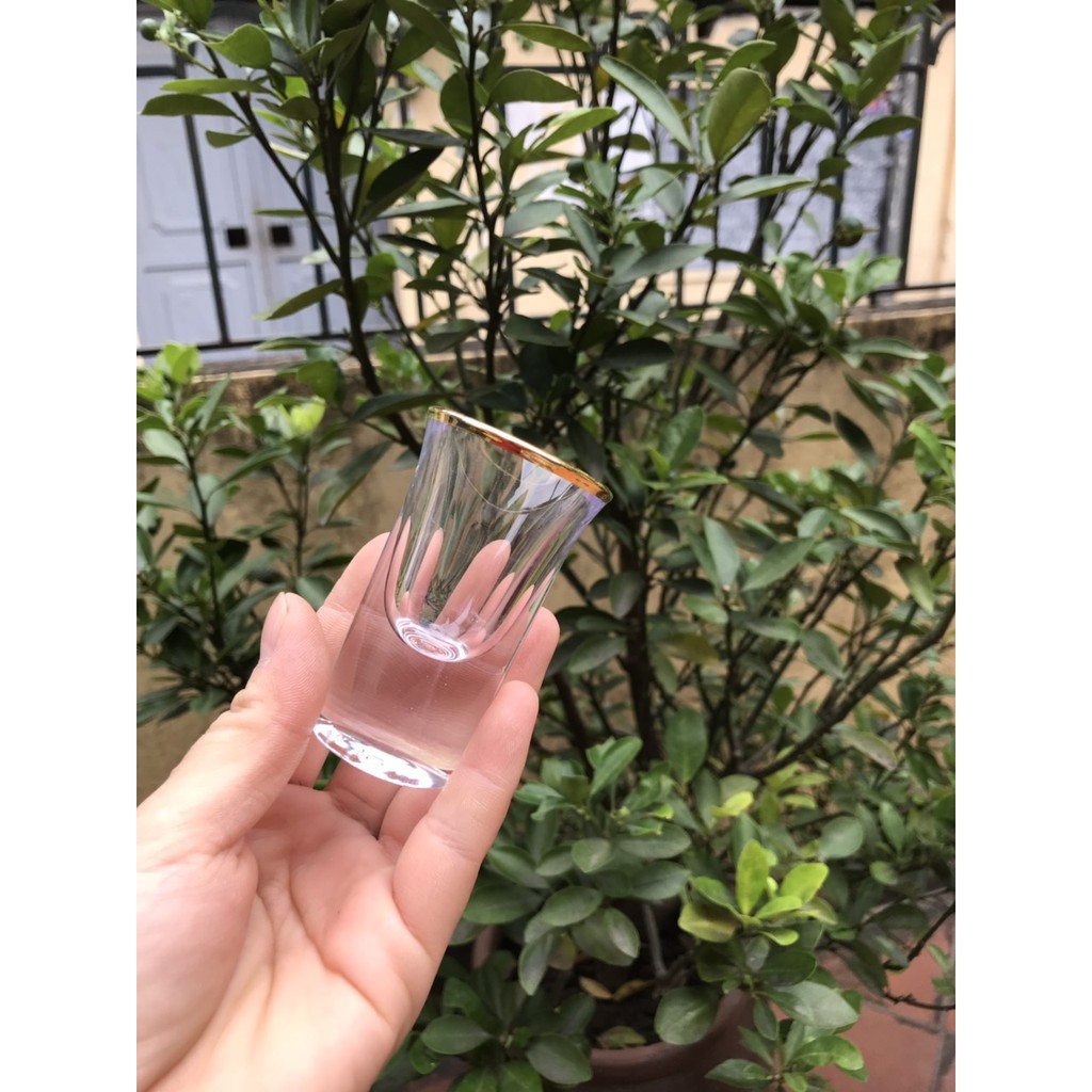 Bộ ly rượu shot viền vàng miệng_ 20ml