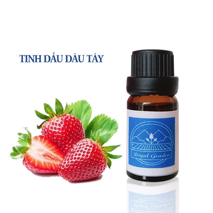 Tinh dầu dâu làm thơm phòng dung tích 10ml