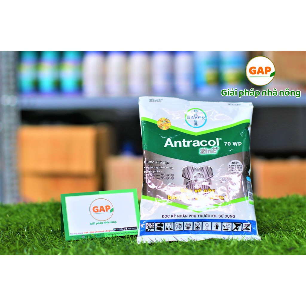 ANTRACOL 70WP gói 100g - Giúp lá (xanh) khỏe, thẳng đứng và sạch bệnh