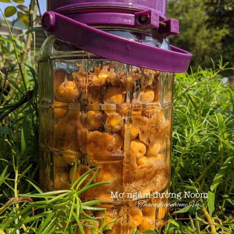 Đường noom đường mía thô chưa tách mật