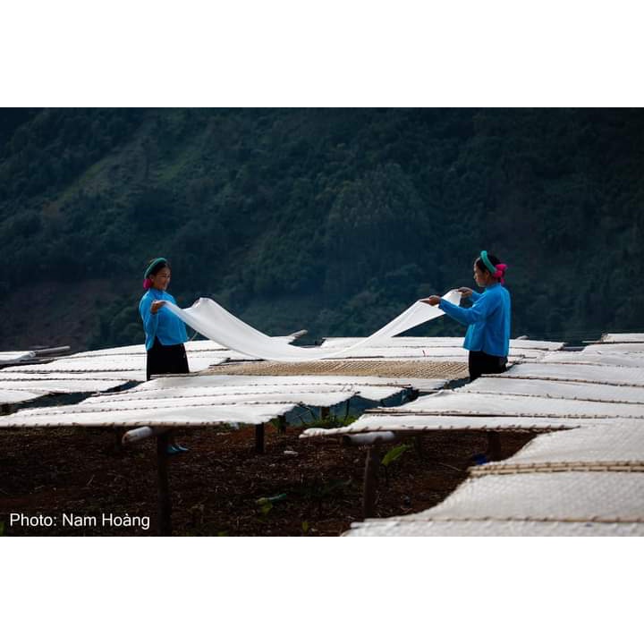 Đặc sản miến dong Bình Liêu, OCOP Quảng Ninh, 100% nguyên chất từ củ Dong riềng | BigBuy360 - bigbuy360.vn