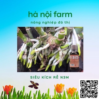 N3M dạng nước 100ml, ra rễ cực mạnh