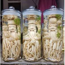 Bình Ngâm Rượu Thuỷ Tinh Trụ Rồng Có Vòi 6L, 8L, 10L, 12L, 15L, 19L