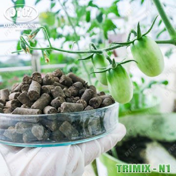 Phân bón hữu cơ tan chậm Điền Trang ươm mầm rau sạch 5kg