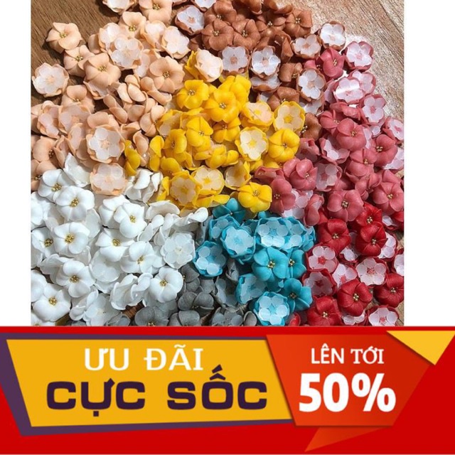 hoa bột nail -hoa đậu