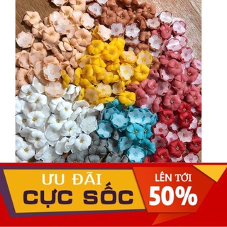 Hoa bột nail -hoa đậu