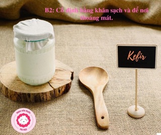 Combo nấm sữa kefi cho khách