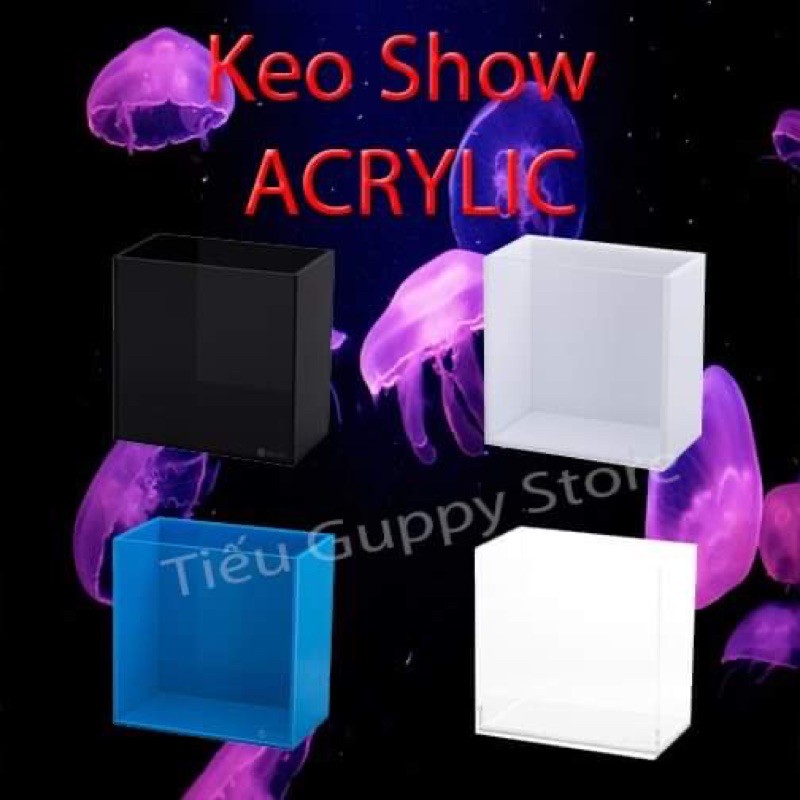 Hồ Show Acrylic siêu trong Ebi KT 12x7x12 và 15x11x17