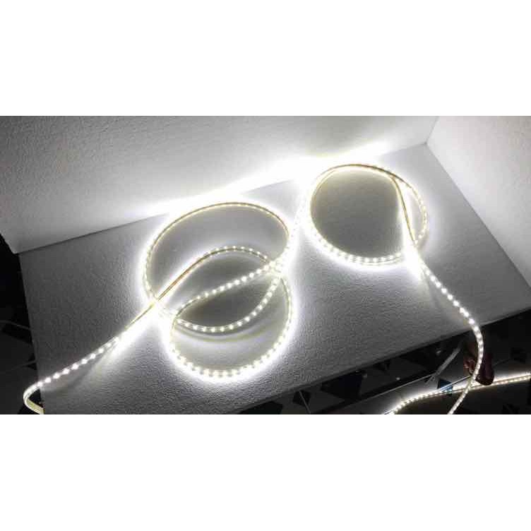 15m dây đèn LED dây 5050 ống nhựa Vàng tặng kèm dây nguồn ghim