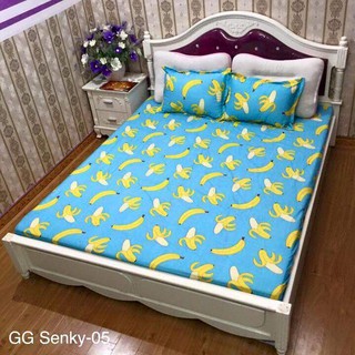 Bộ ga gối cotton poly chun m8