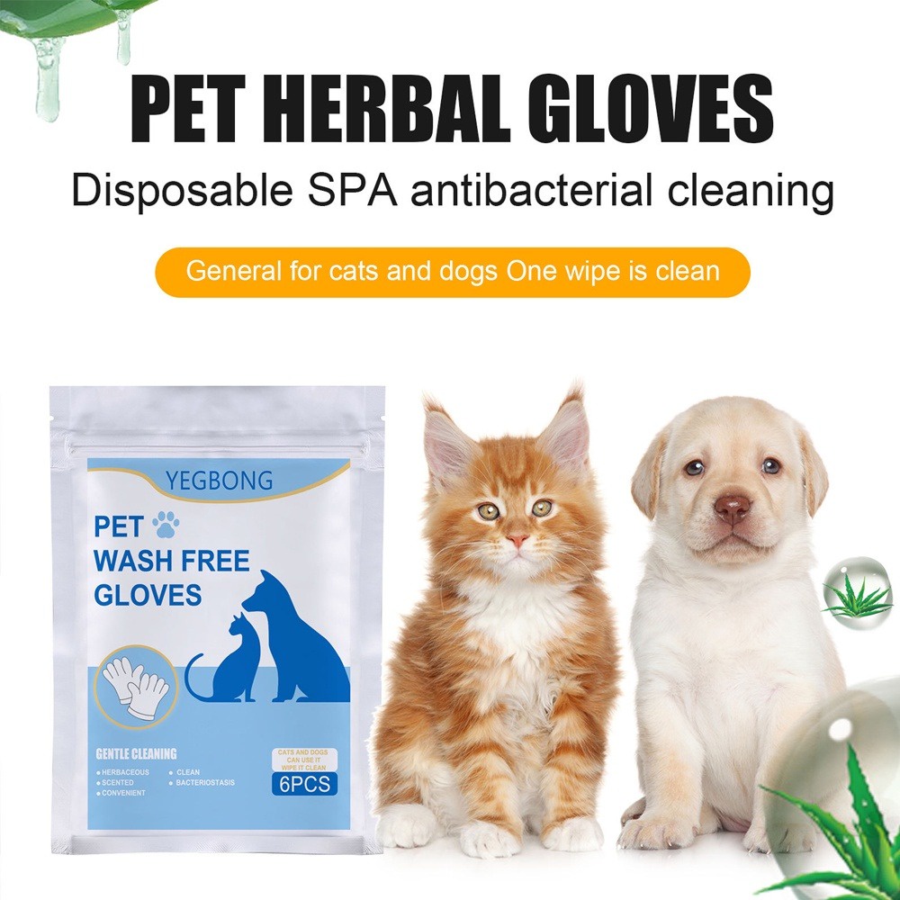 Set 6 Găng Tay Mát Xa Kháng Khuẩn Không Giặt Rửa Dùng Một Lần Cho Chó Mèo