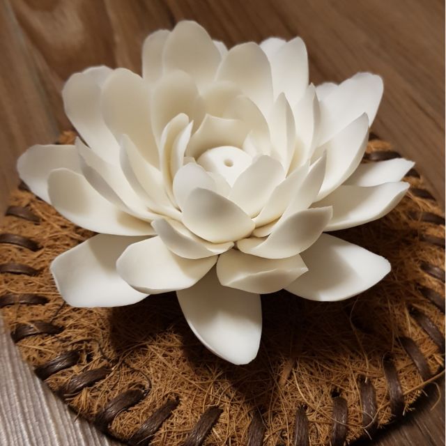 Hoa sen đốt trầm