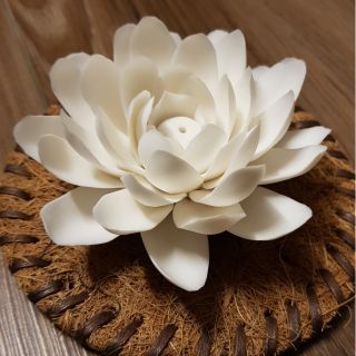 Hoa sen đốt trầm